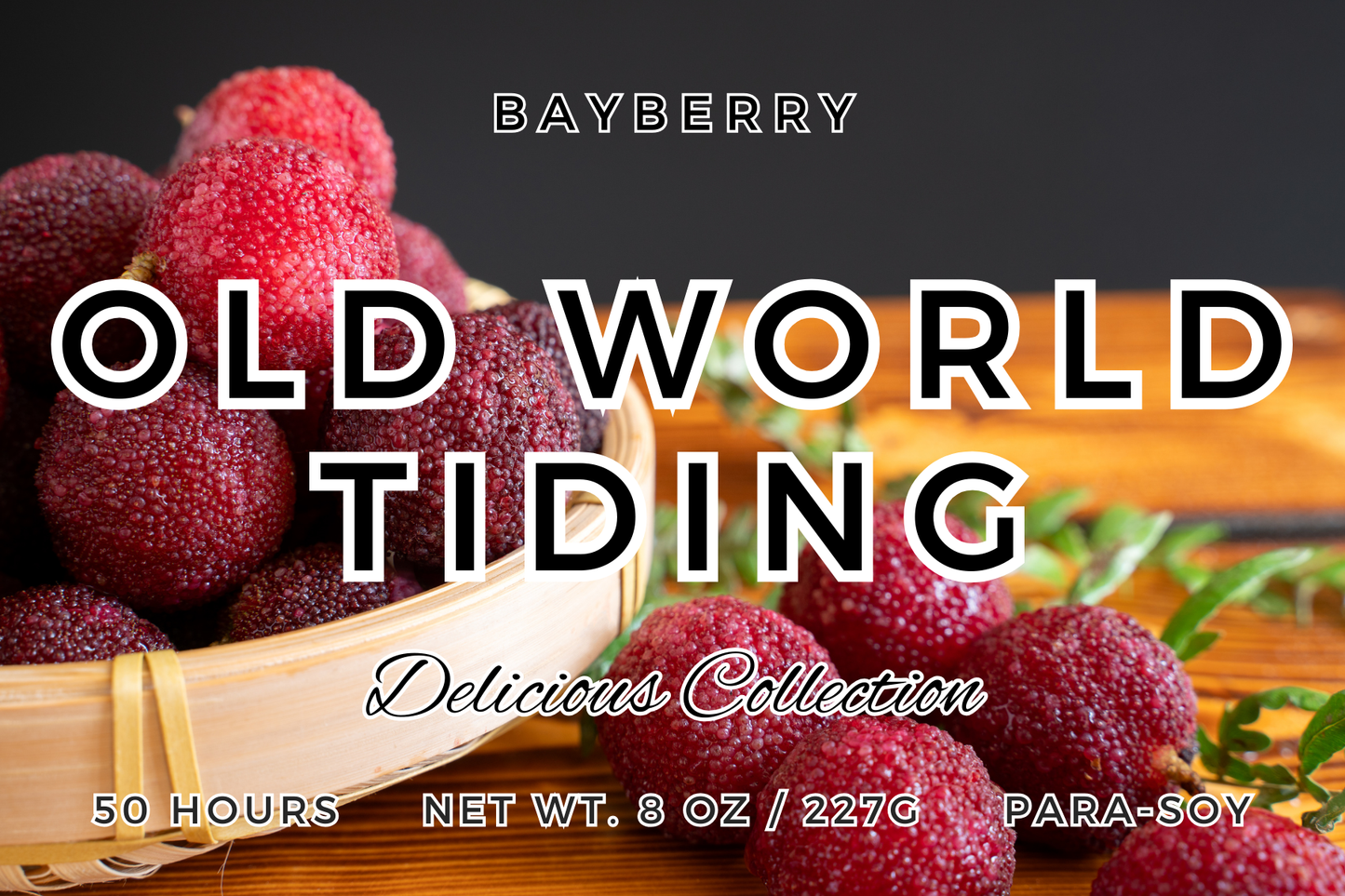 Old World Tiding Lotion | Warm Bayberry & Spice Scented Body Lotion | Spellbound Forge