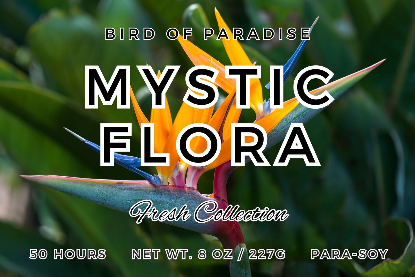 Mystic Flora Candle | Bird of Paradise and Vanilla Scent