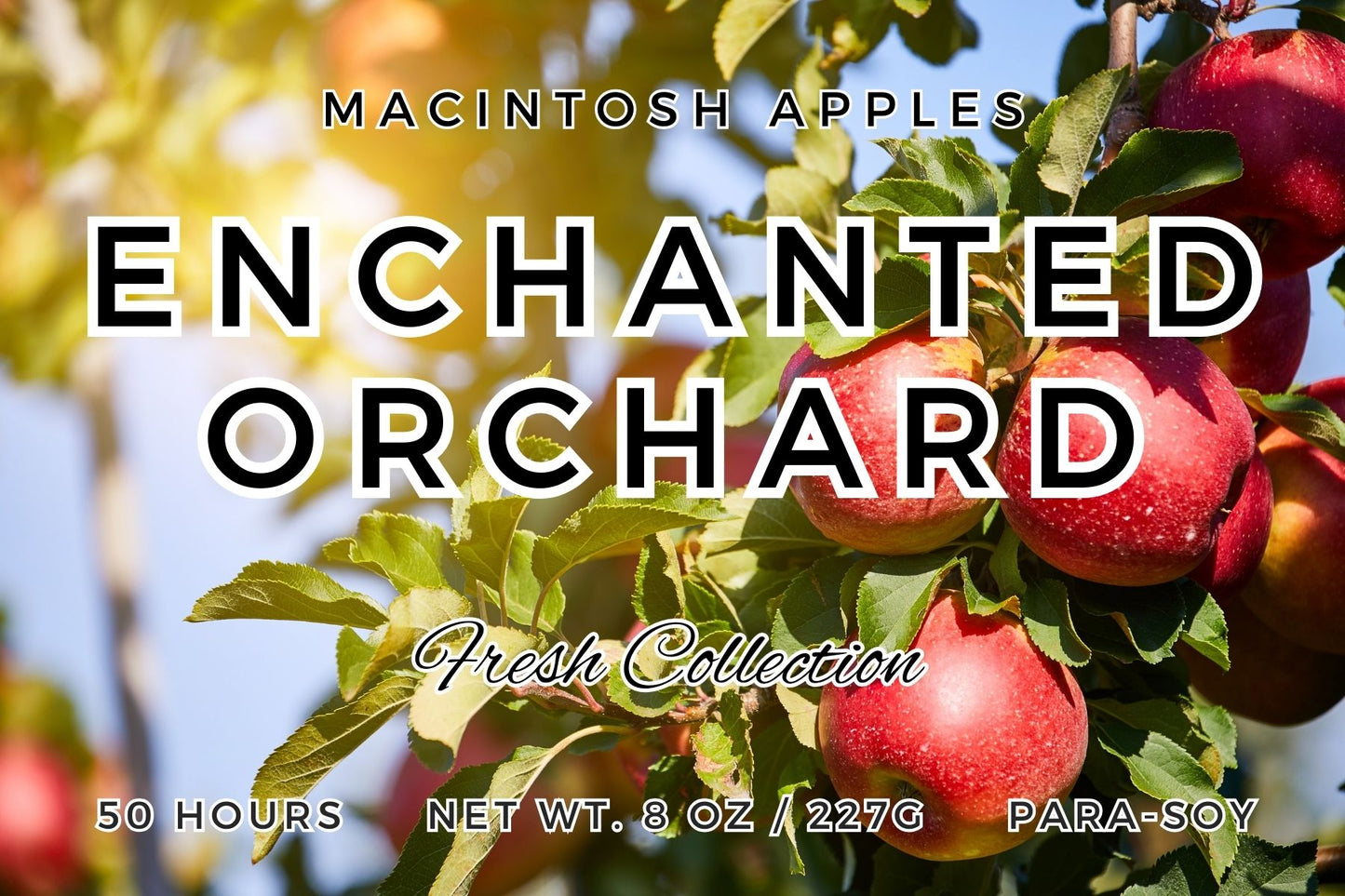 Enchanted Orchard Candle | Fresh Macintosh Apple Scent