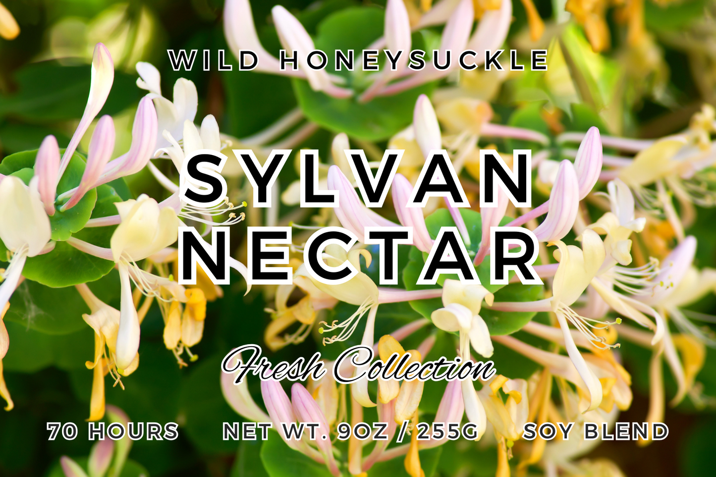 Sylvan Nectar – Wild Honeysuckle Candle