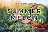 🍉 Summer Melon Lotion | Watermelon Scented Body Lotion | Spellbound Forge