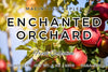 Enchanted Orchard - Luxurious Hand & Body Lotion | Spellbound Forge