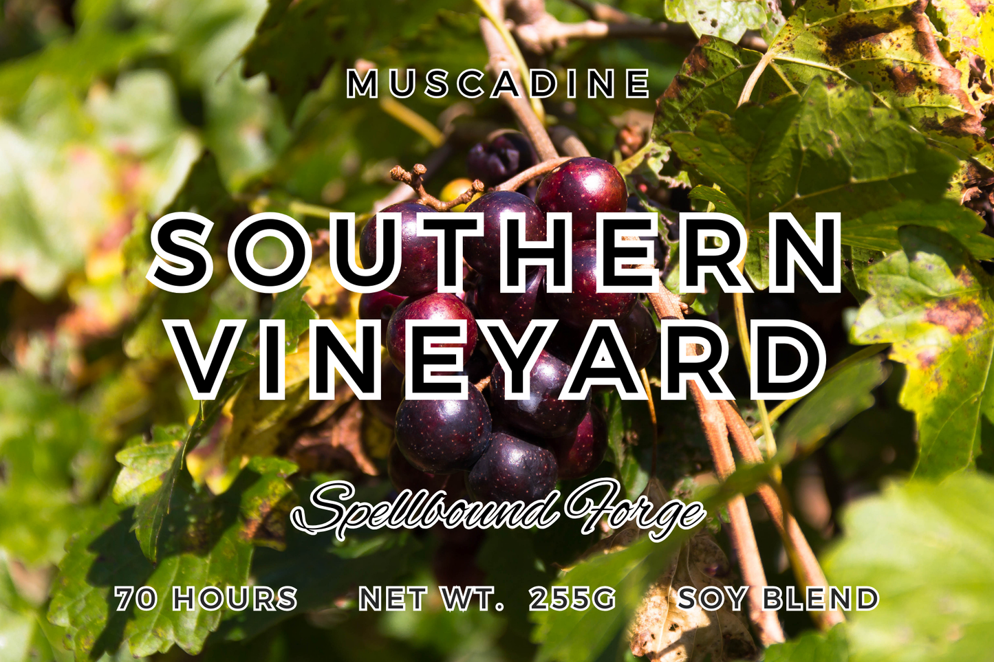 Southern Vineyard - Muscadine Car Freshie